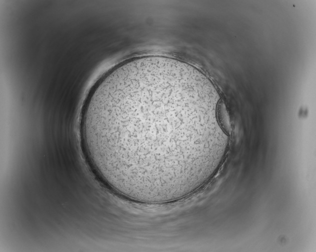 X0000103410006200810031257