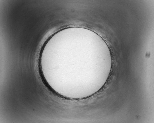 X0000103410007200810031257