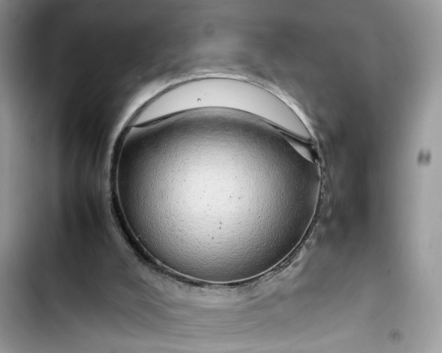 X0000103410008200810031257