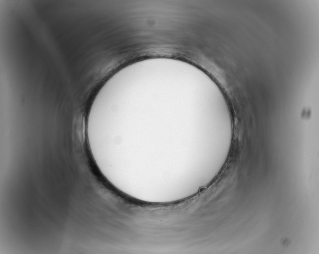 X0000103410013200810031257