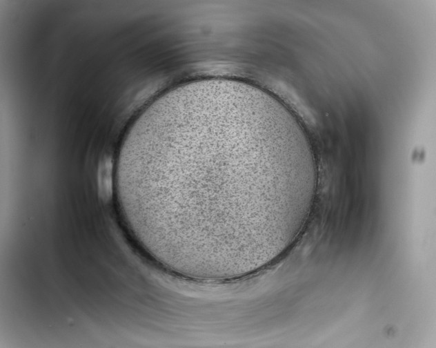 X0000103410014200810031257