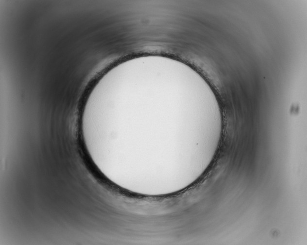 X0000103410016200810031257