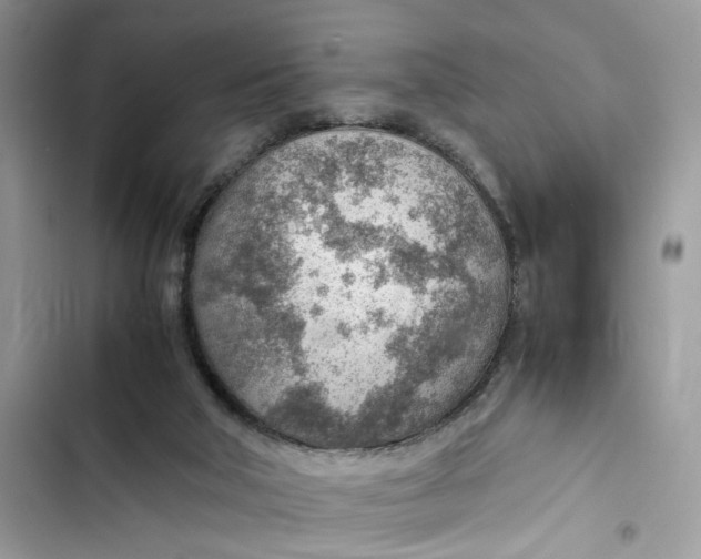 X0000103410018200810031257