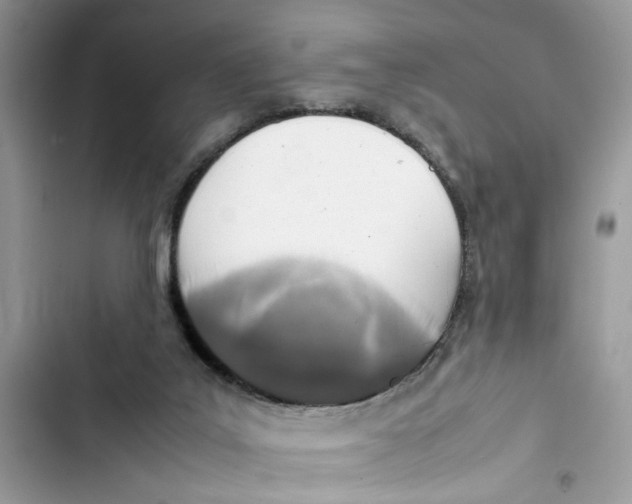 X0000103410019200810031257