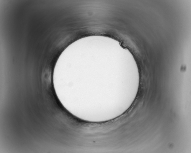 X0000103410021200810031256