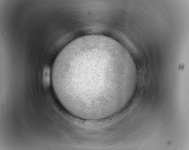 X0000103410022200810031256