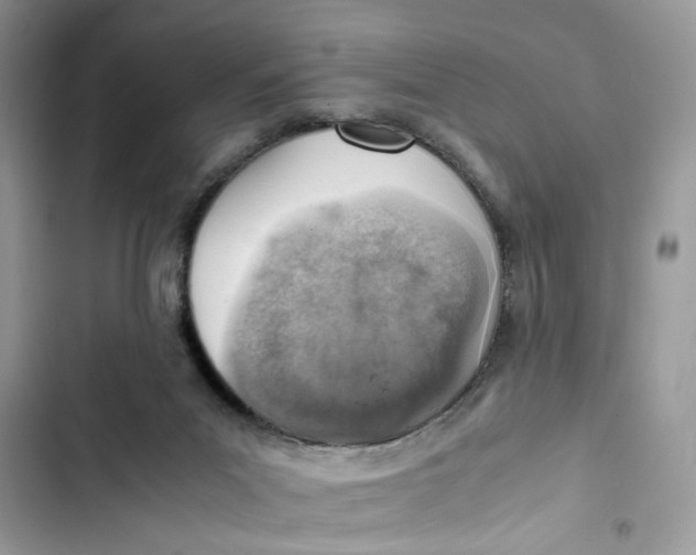 X0000103410023200810031256