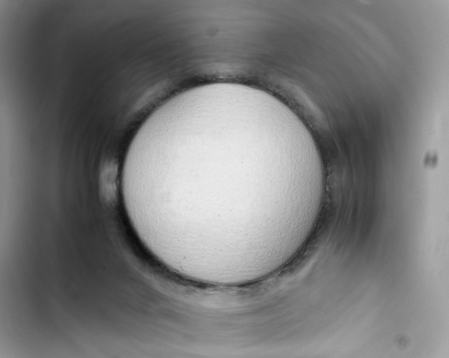 X0000103410024200810031256