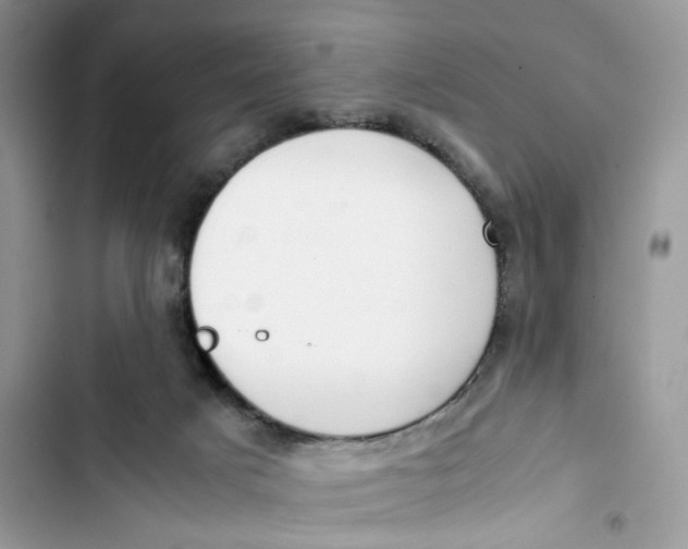 X0000103410025200810031256