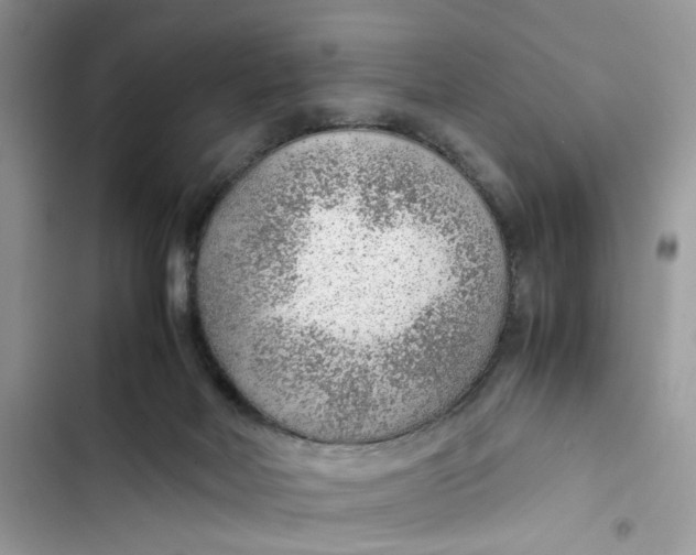 X0000103410026200810031256