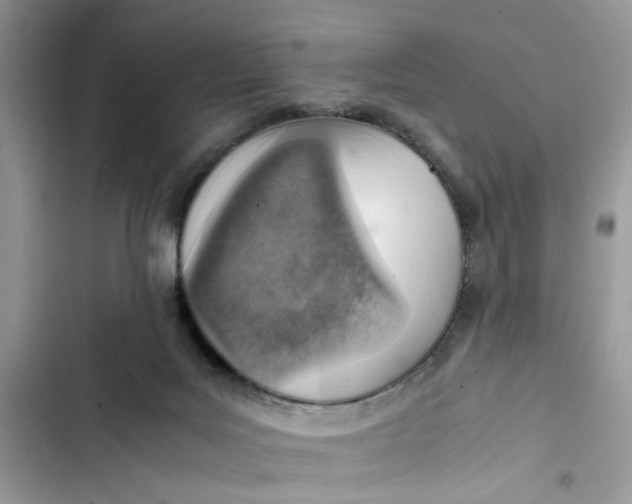 X0000103410027200810031256