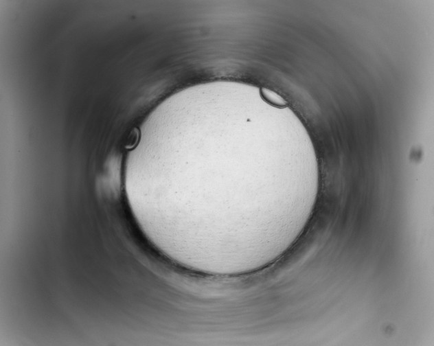 X0000103410028200810031256