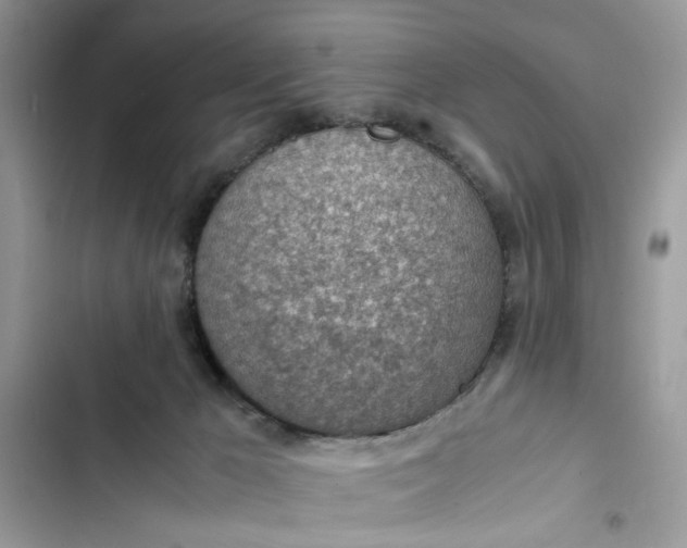 X0000103410029200810031256