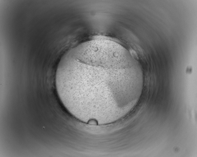 X0000103410030200810031256