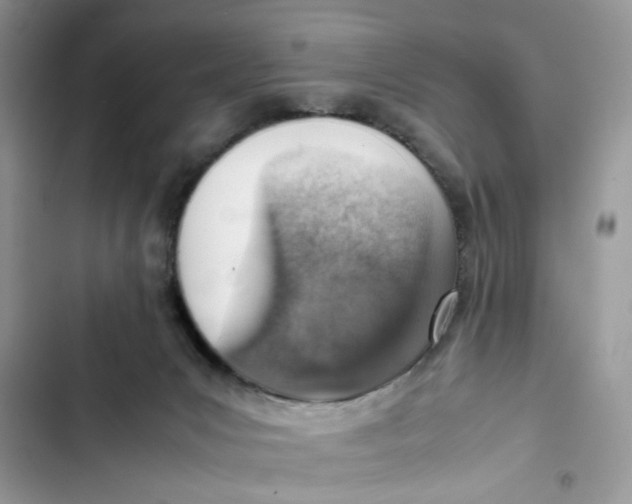 X0000103410031200810031256