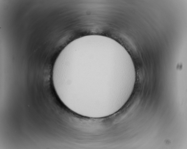 X0000103410032200810031256