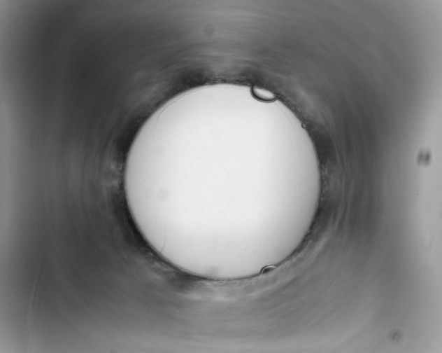 X0000103410033200810031256