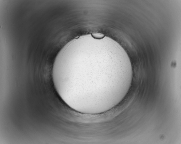 X0000103410034200810031256