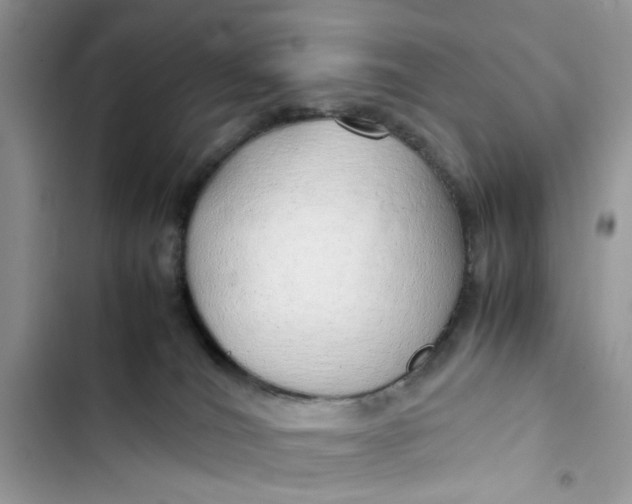 X0000103410036200810031256