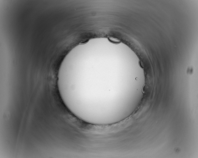 X0000103410037200810031256