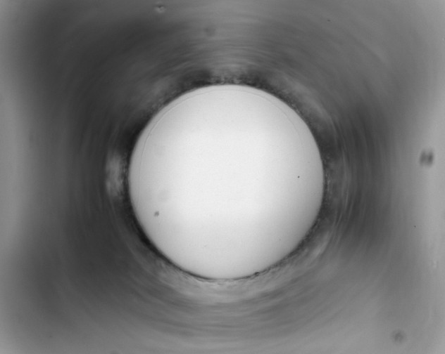 X0000103410038200810031256