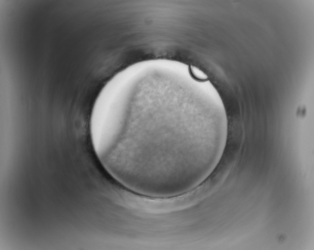 X0000103410039200810031256