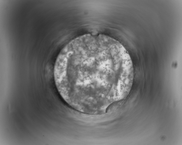 X0000103410043200810031256