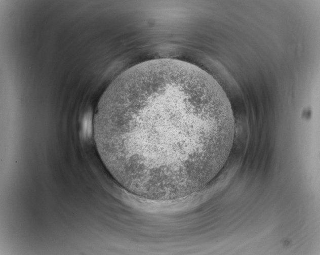 X0000103410046200810031256