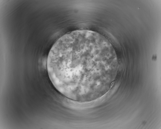 X0000103410047200810031256