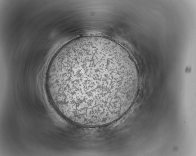 X0000103410049200810031255