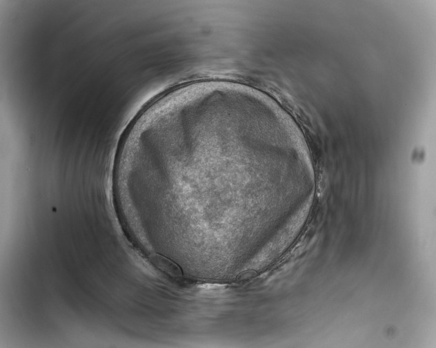 X0000103410052200810031255