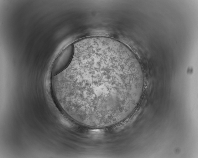 X0000103410053200810031255