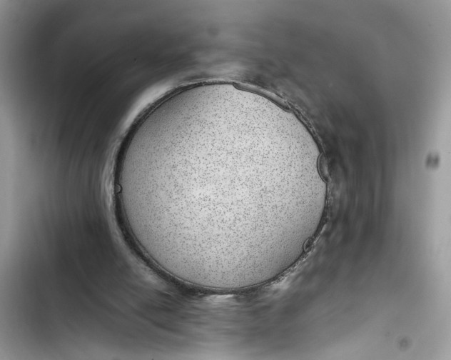 X0000103410054200810031255