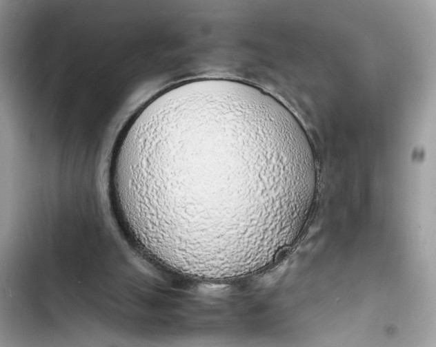 X0000103410055200810031256