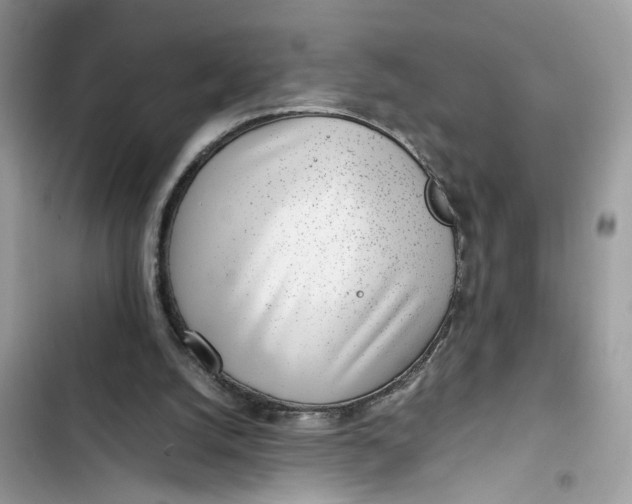 X0000103410056200810031256