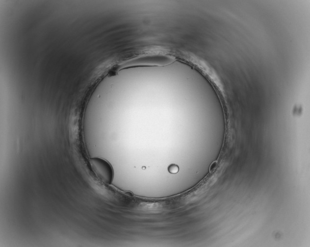 X0000103410057200810031256