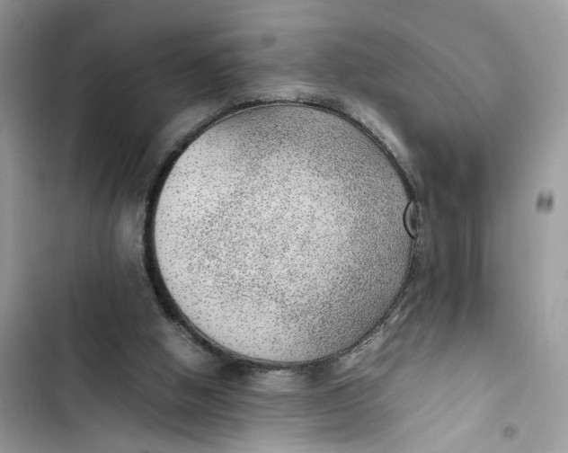 X0000103410058200810031256