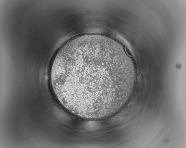 X0000103410059200810031256