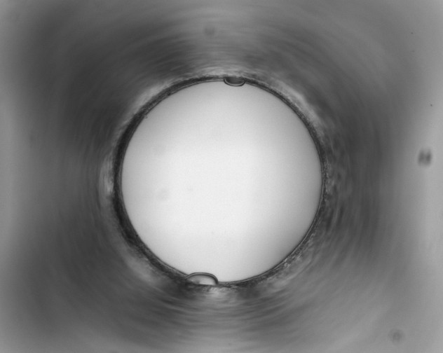 X0000103410060200810031256