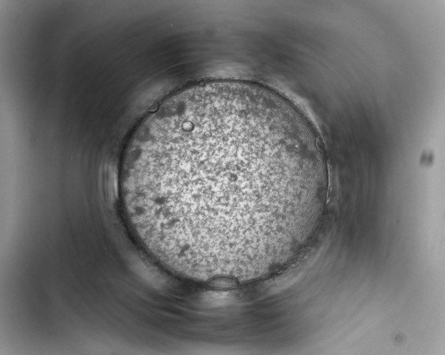 X0000103410061200810031256