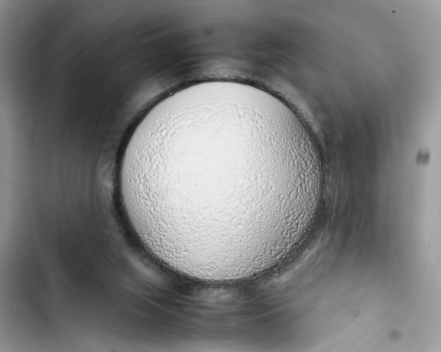 X0000103410063200810031256