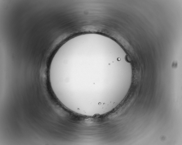 X0000103410064200810031256