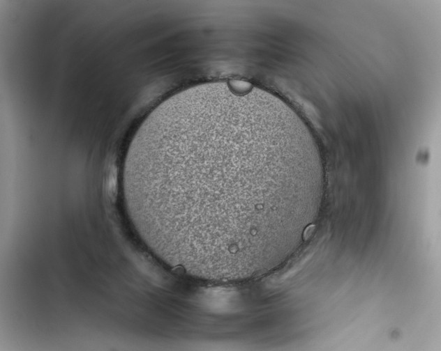 X0000103410067200810031256