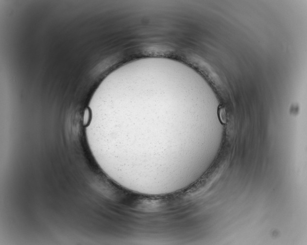 X0000103410071200810031256