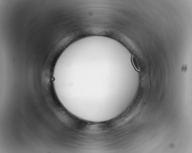 X0000103410072200810031256