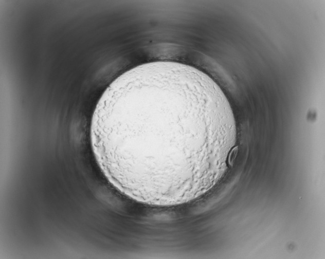 X0000103410073200810031256