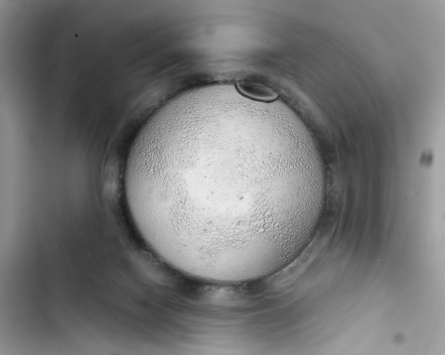 X0000103410074200810031256