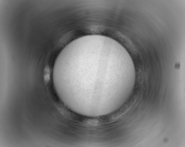 X0000103410075200810031256