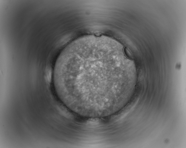 X0000103410076200810031256