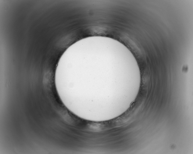 X0000103410079200810031256